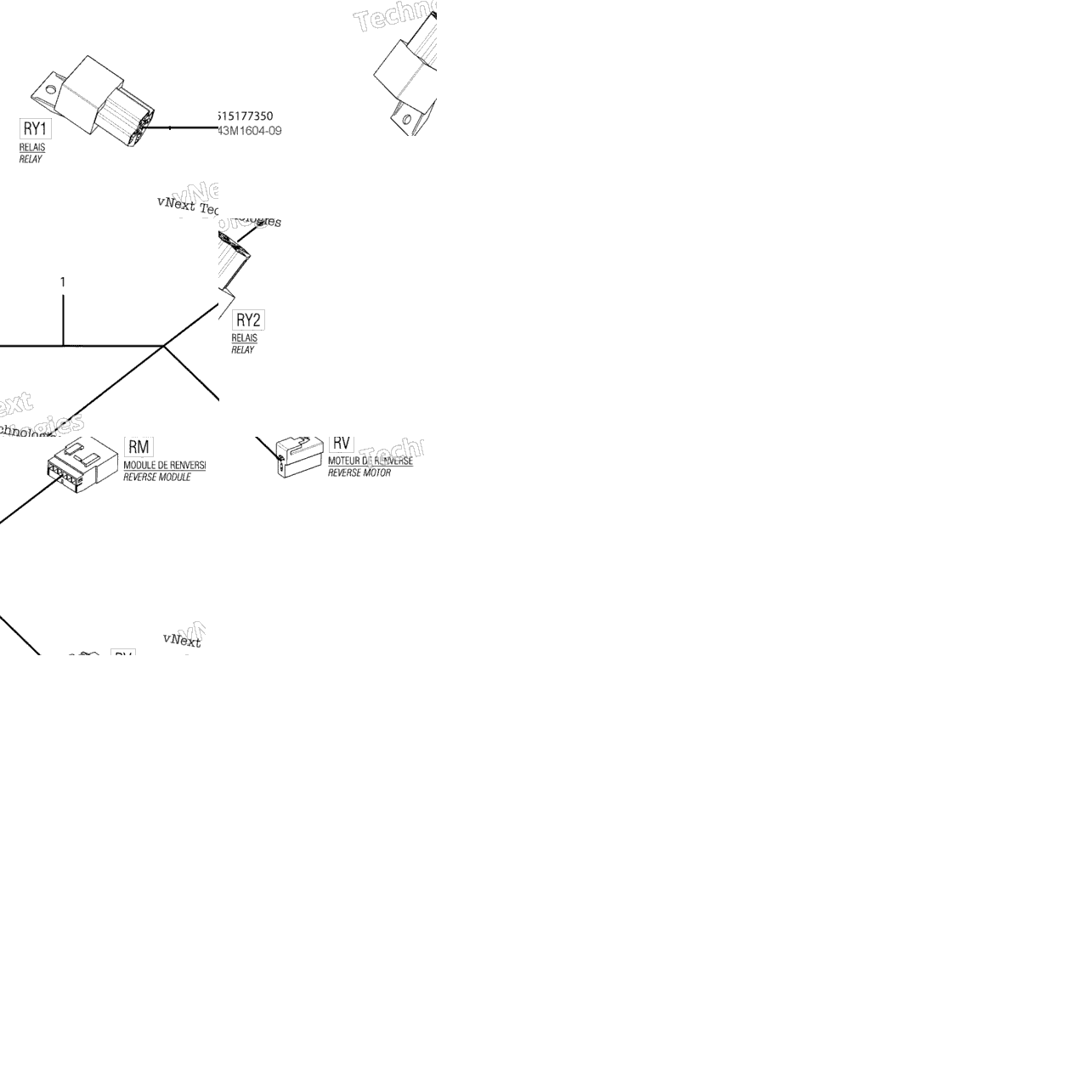 Electrical Harness - Reverse