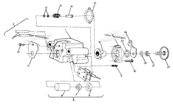 Rear Brake Assembly