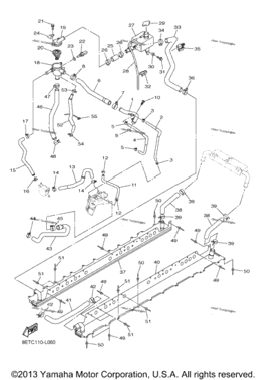 Radiator Hose
