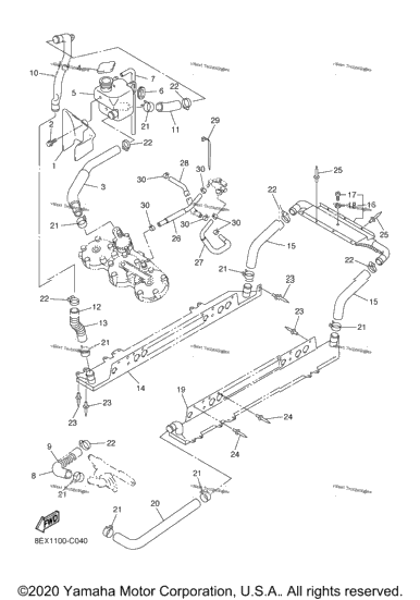 Radiator Hose