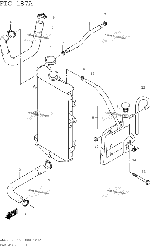 Radiator Hose