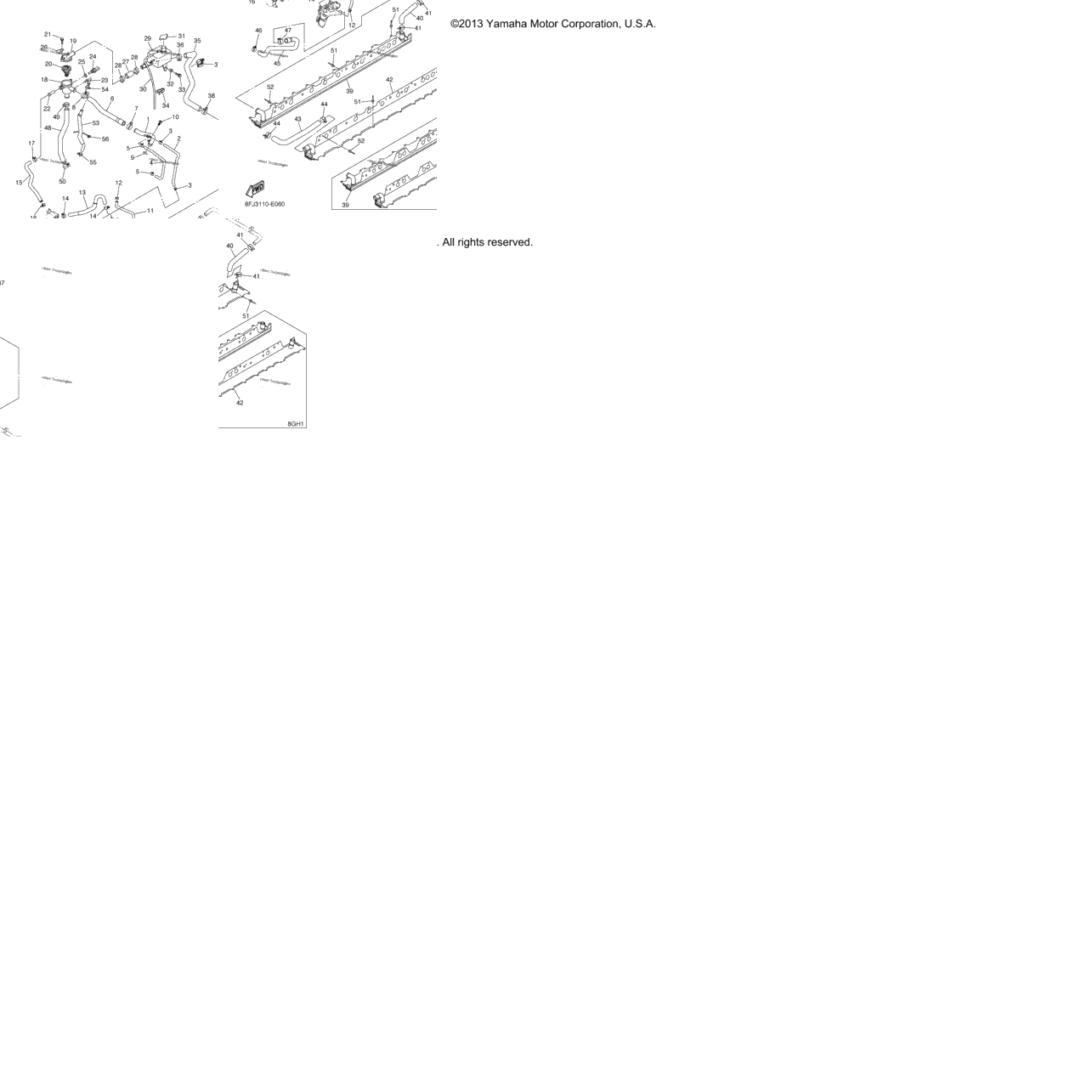 Radiator Hose