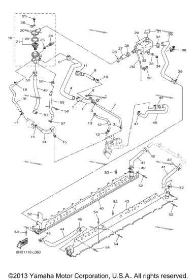 Radiator Hose