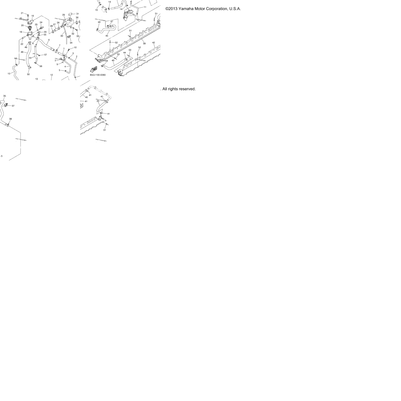 Radiator Hose