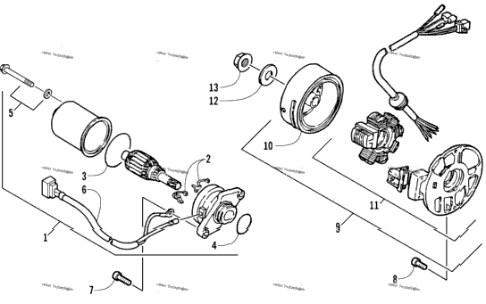 Magneto And Starter Motor Assembly