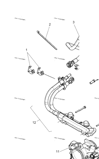 Fuel System, Rail, Lines & Throttle Body