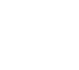 Steering Stem