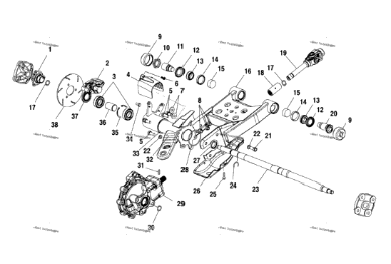 Swing Arm/Rear Gearcase Mounting