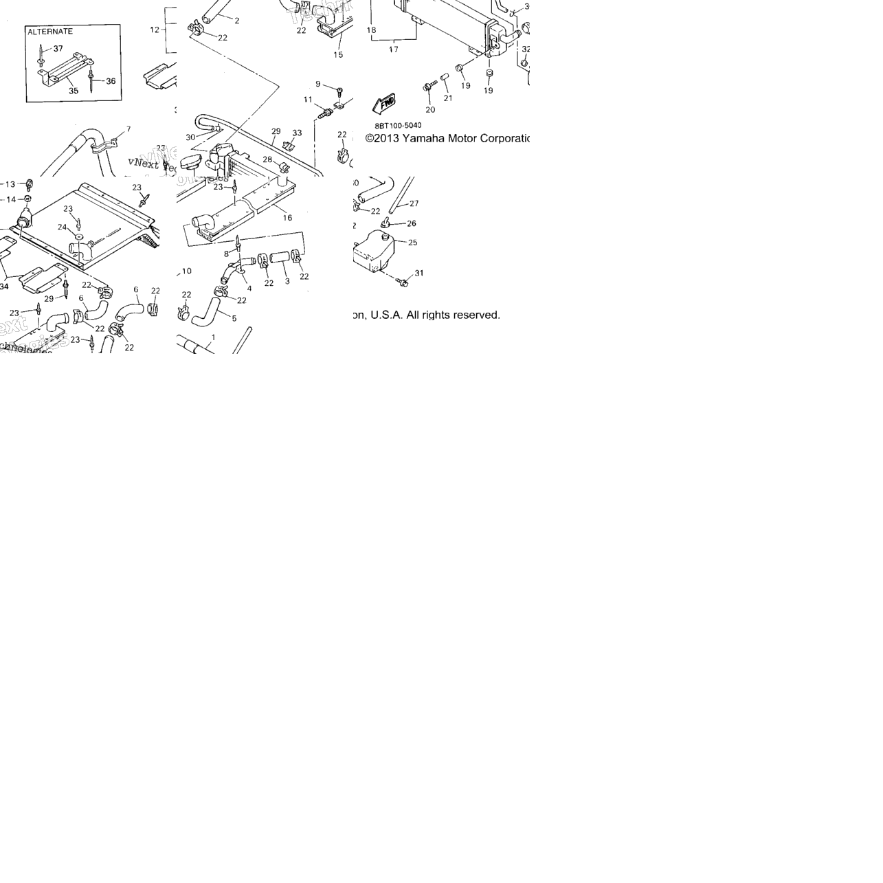Radiator Hose