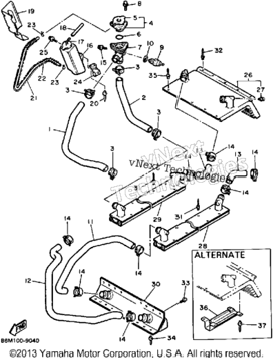 Radiator - Hose