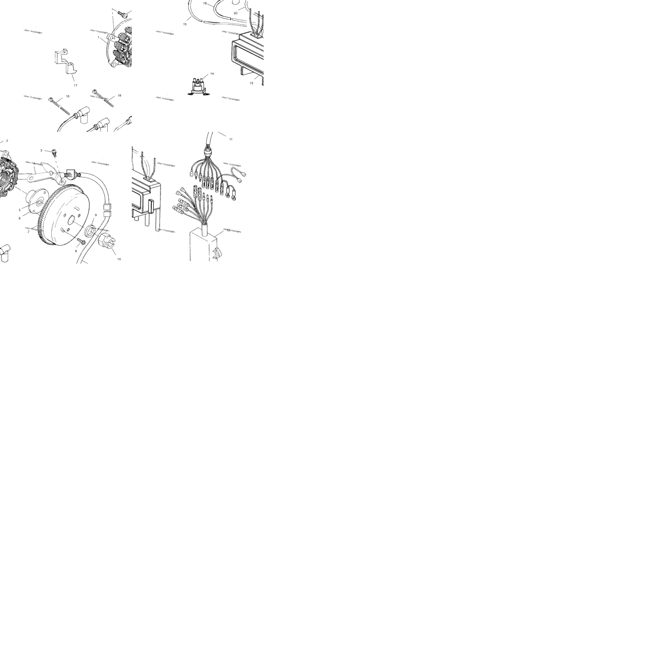 Magneto W015099d