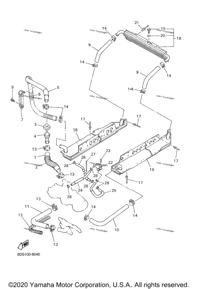 Radiator - Hose