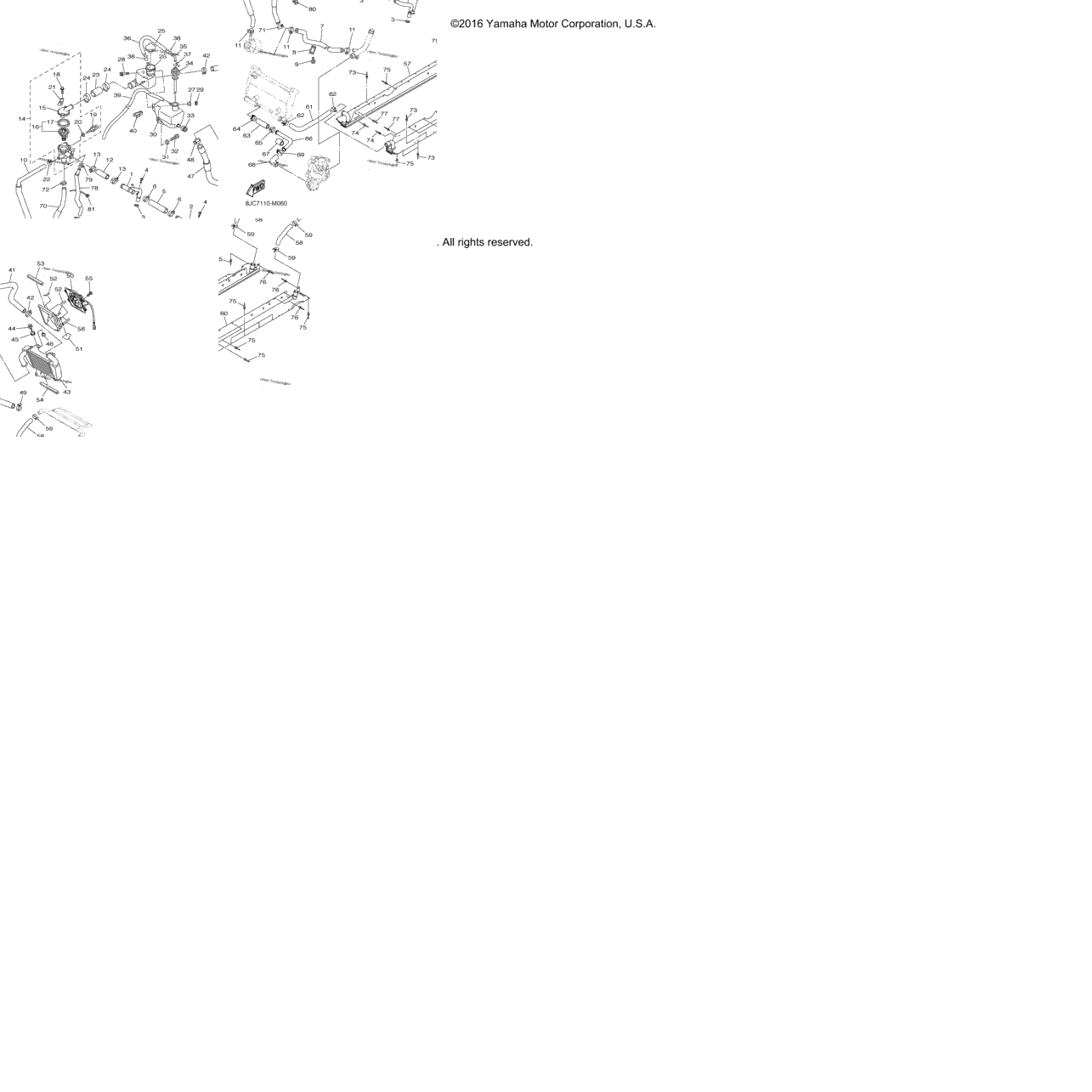 Radiator Hose