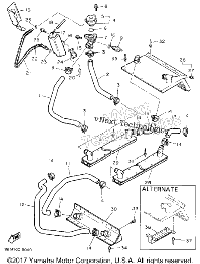 Radiator Hose