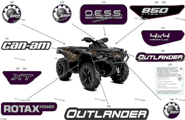 Body - Feature Decals