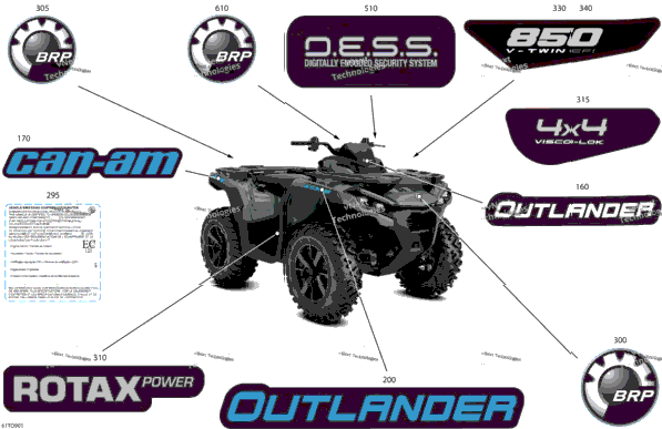 Body - Feature Decals
