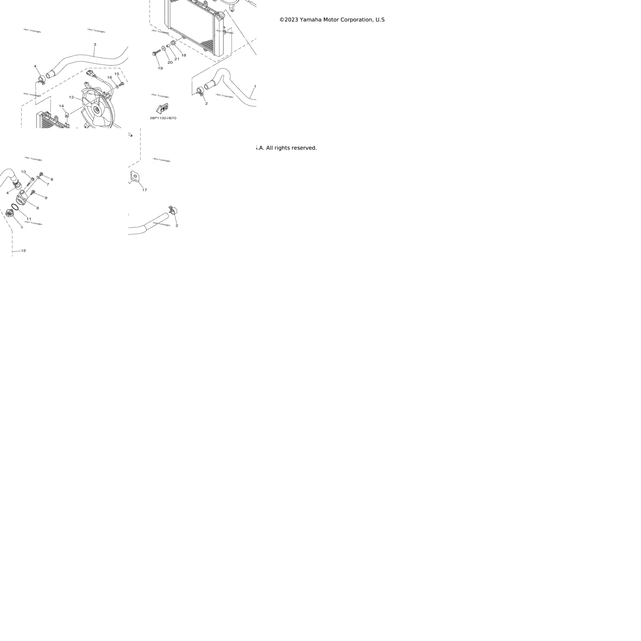Radiator Hose