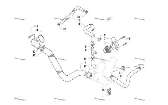 Water Hose Assembly