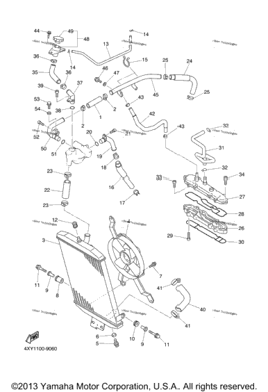 Radiator Hose