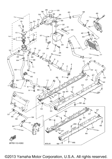 Radiator Hose