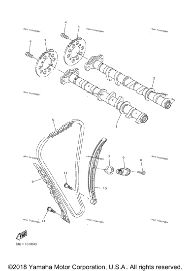 Camshaft Chain
