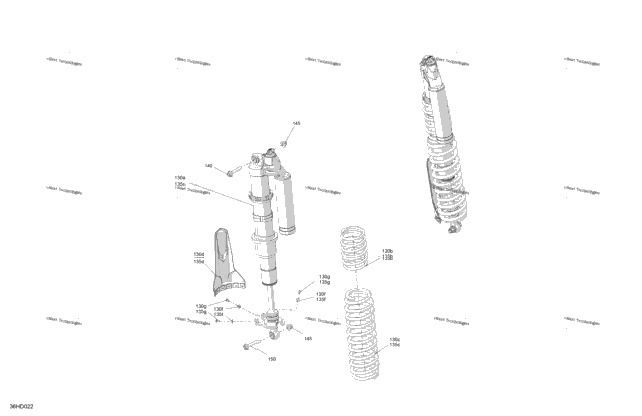 Suspension - Rear Shocks