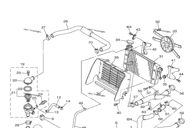Radiator Hose