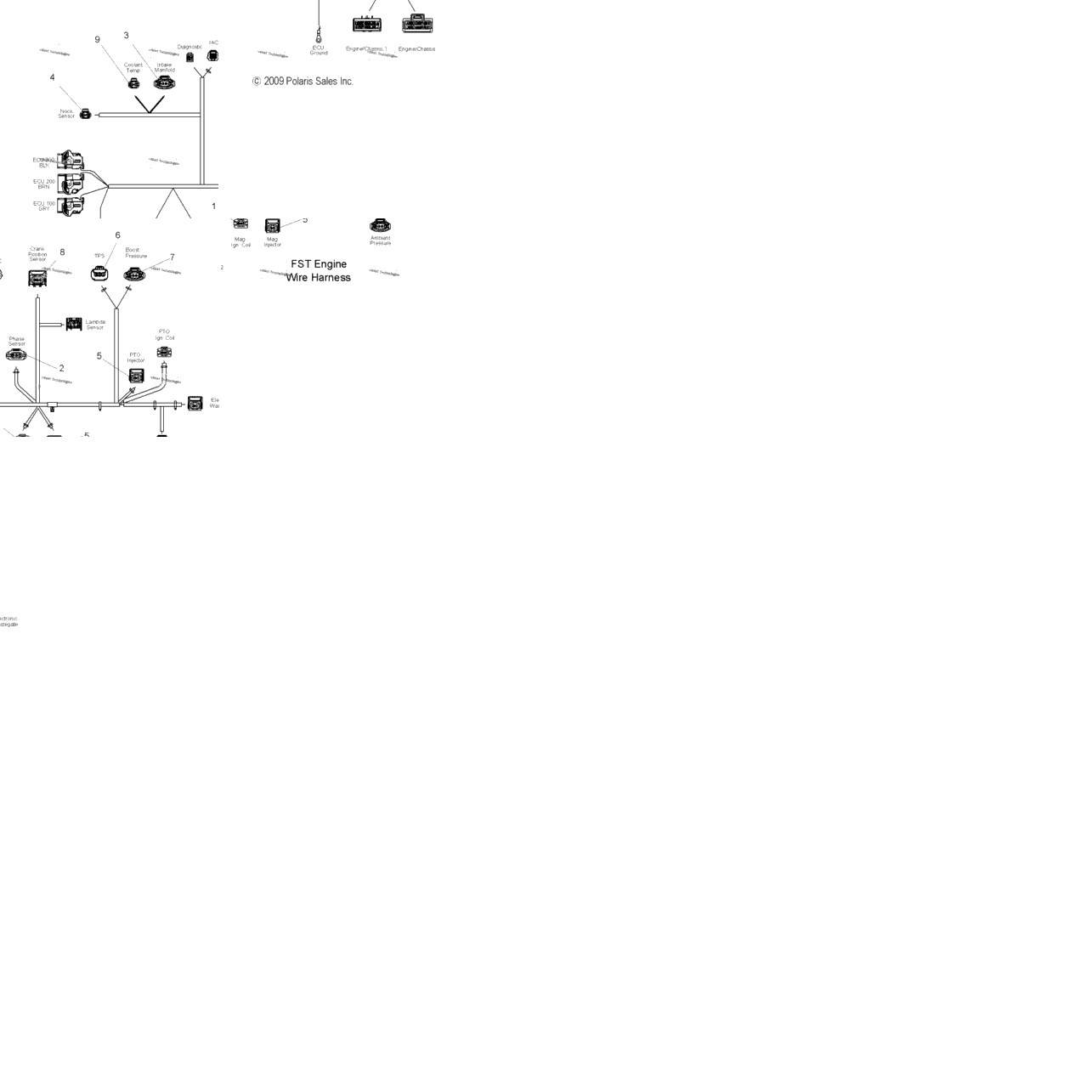Engine, Wire Harness