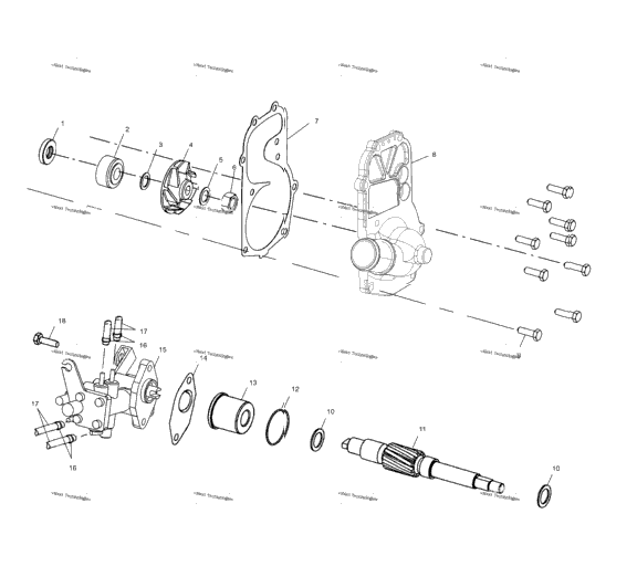 Water Pump/Oil Pump S03nx6es (4978197819C13)