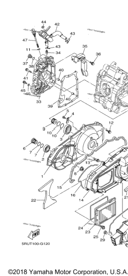 Crankcase Cover 1