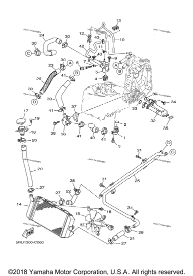Radiator Hose