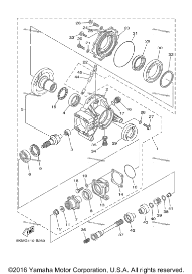 Drive Shaft